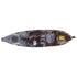 Riot Mako 10 Angler