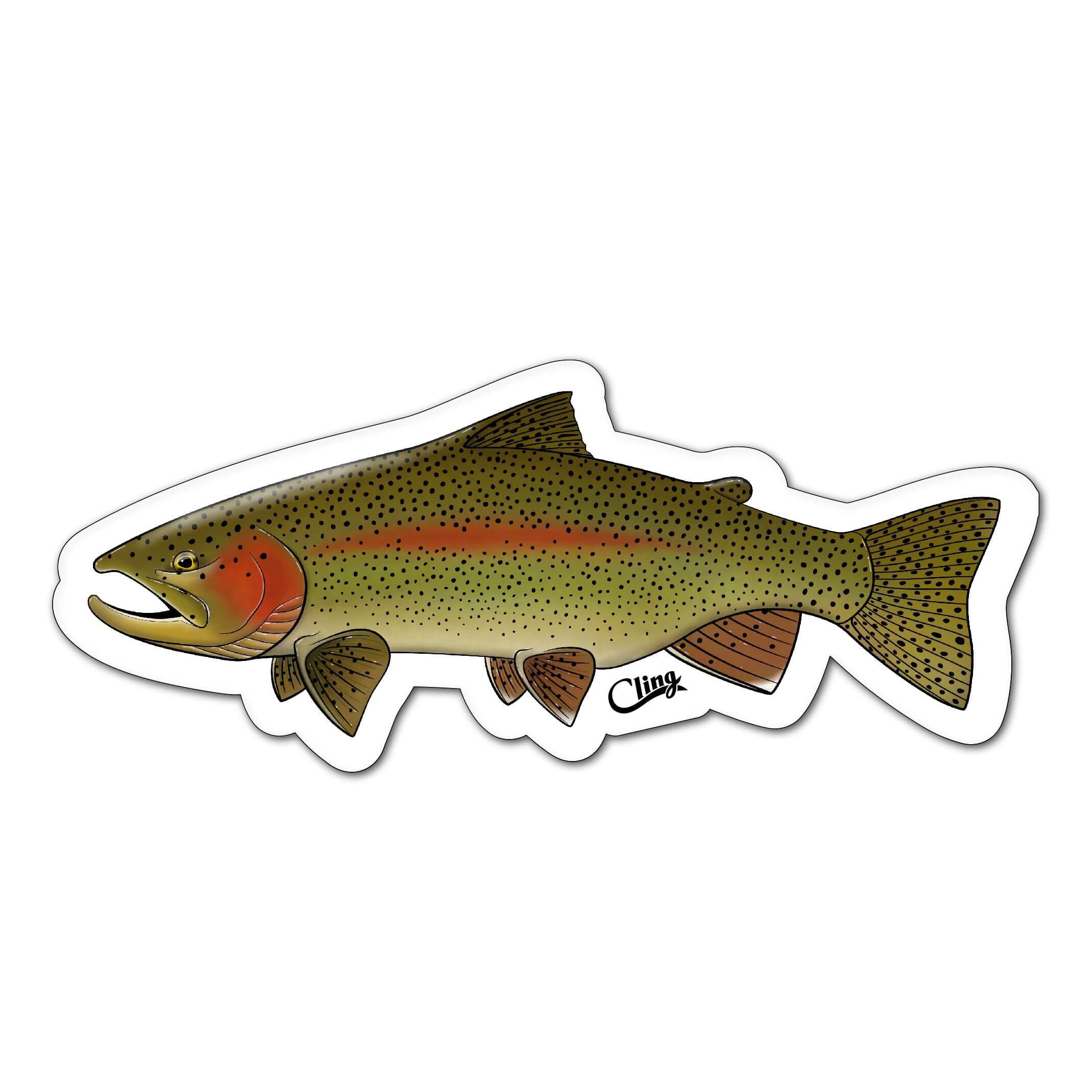 Decals